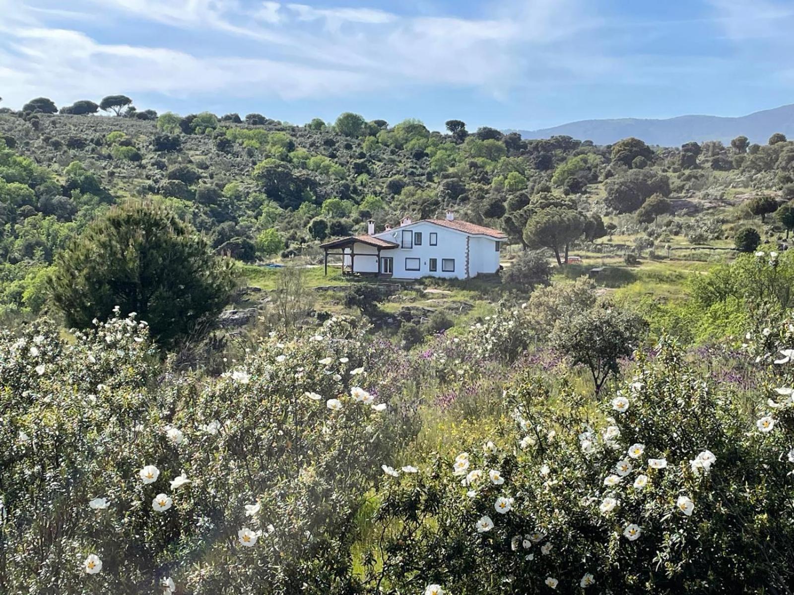 Finca Altair Μαδρίτη Εξωτερικό φωτογραφία